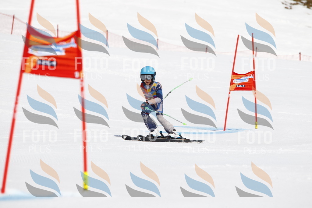 _U3G4382 | holidayphoto