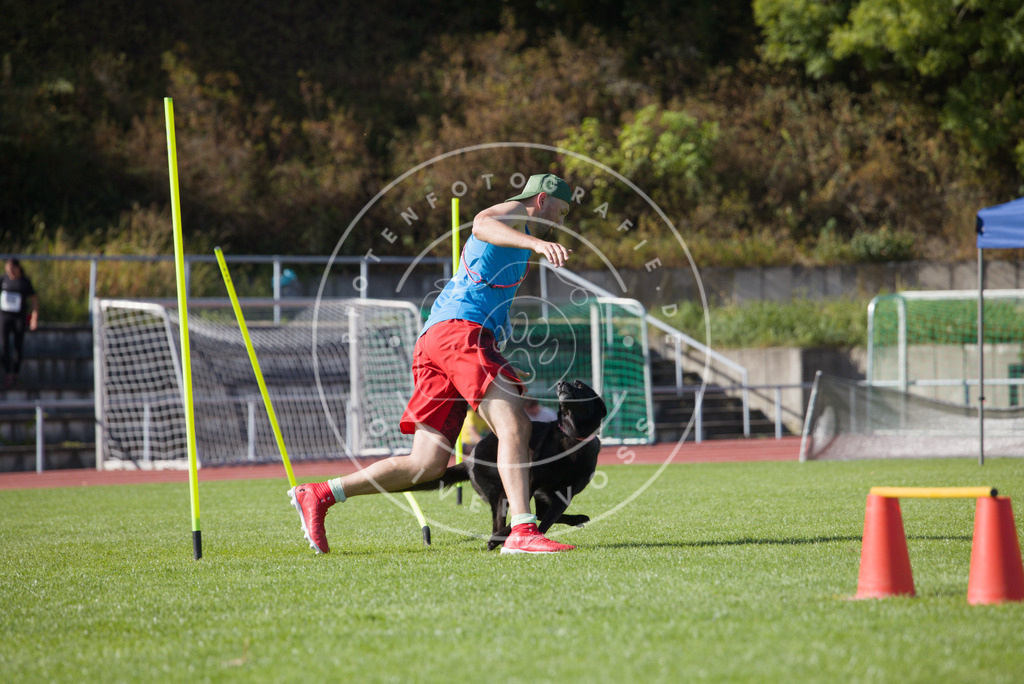 0L8A8508 | Hundefotografie, Tierfotograf, Pfotenfotografie, Fotoshooting Hund, Hunde Portrait, Hundesport, Hundeportraits, Heideshooting, Hunde, Sportfotograf, Hundefotograf, Turnierhundsport, THS,  - Realisiert mit Pictrs.com