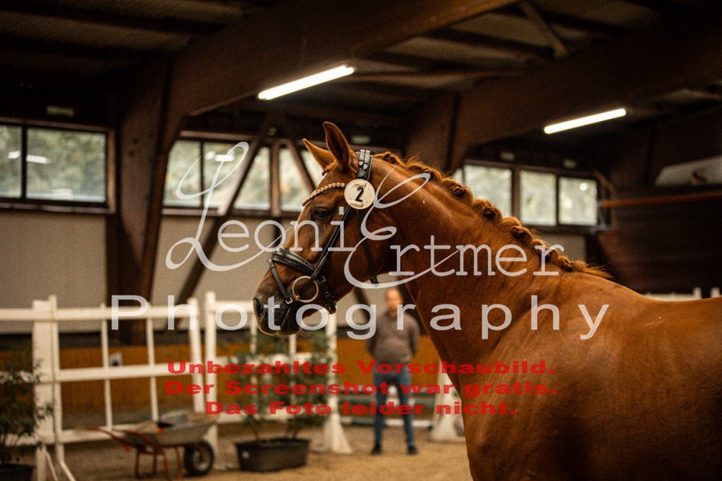 1FS_L00054 | Leoni Ertmer Photography - Realisiert mit Pictrs.com