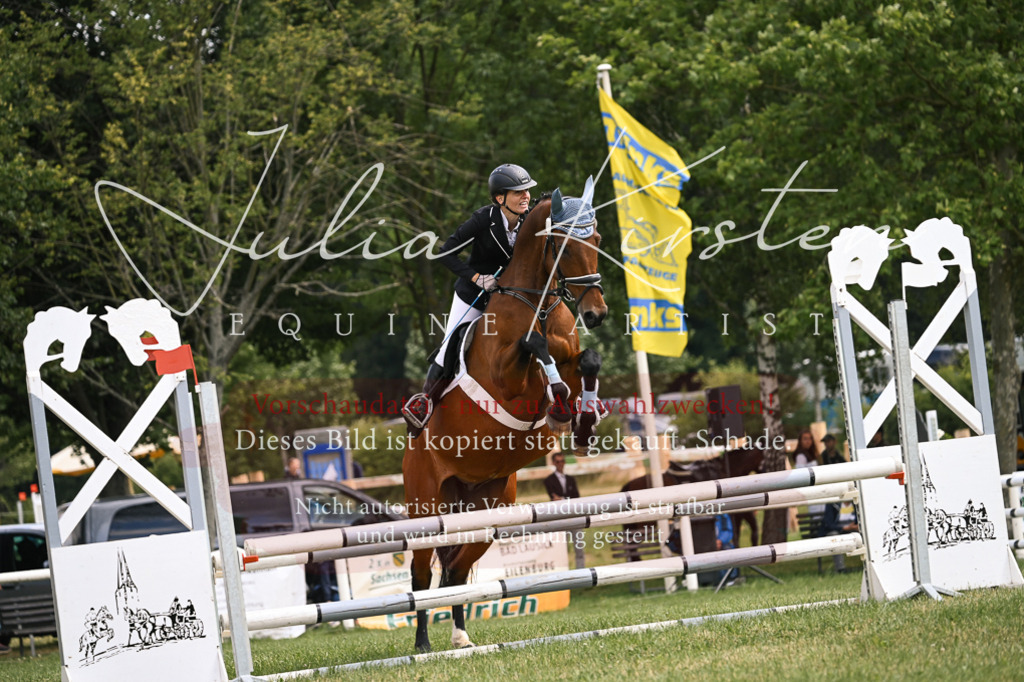 DSC_9165 | Pferde- und Turnierfotografie in Westsachsen. Pferdeportraits, Auftragszeichnungen und intuitive Kunst.