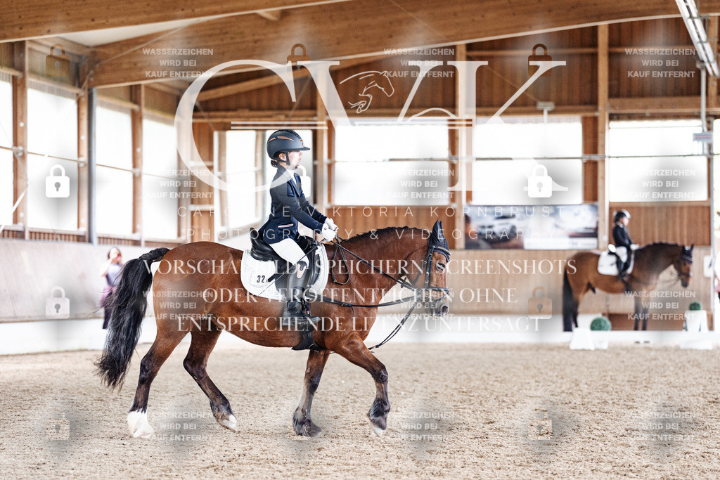 CK900713 | Turnierfotografie Pferdefotografie Trier Rheinland-Pfalz Pferdesport Reitsport Tierfotografie Sportfotografie Pferdevideo Pferdevideografie Equestrianvideography equestrianphotography  - Realisiert mit Pictrs.com