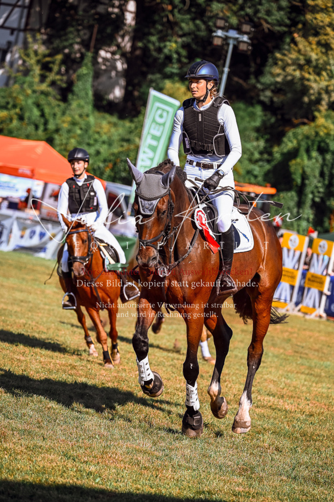 DSC_1198 | Pferde- und Turnierfotografie in Westsachsen. Pferdeportraits, Auftragszeichnungen und intuitive Kunst.