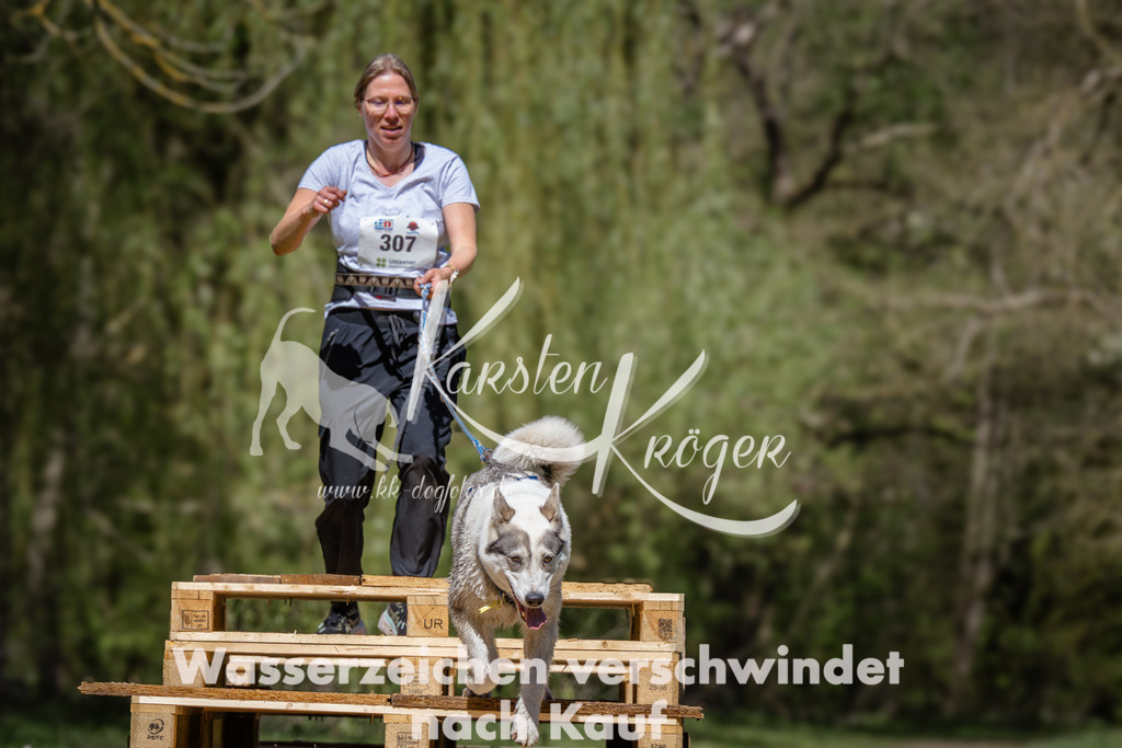 1242_ZZ93775 | kk-dogfotos