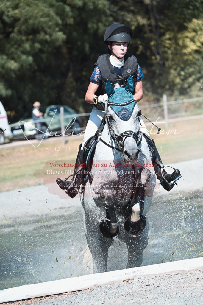 DSC_8459 | Pferde- und Turnierfotografie in Westsachsen. Pferdeportraits, Auftragszeichnungen und intuitive Kunst.