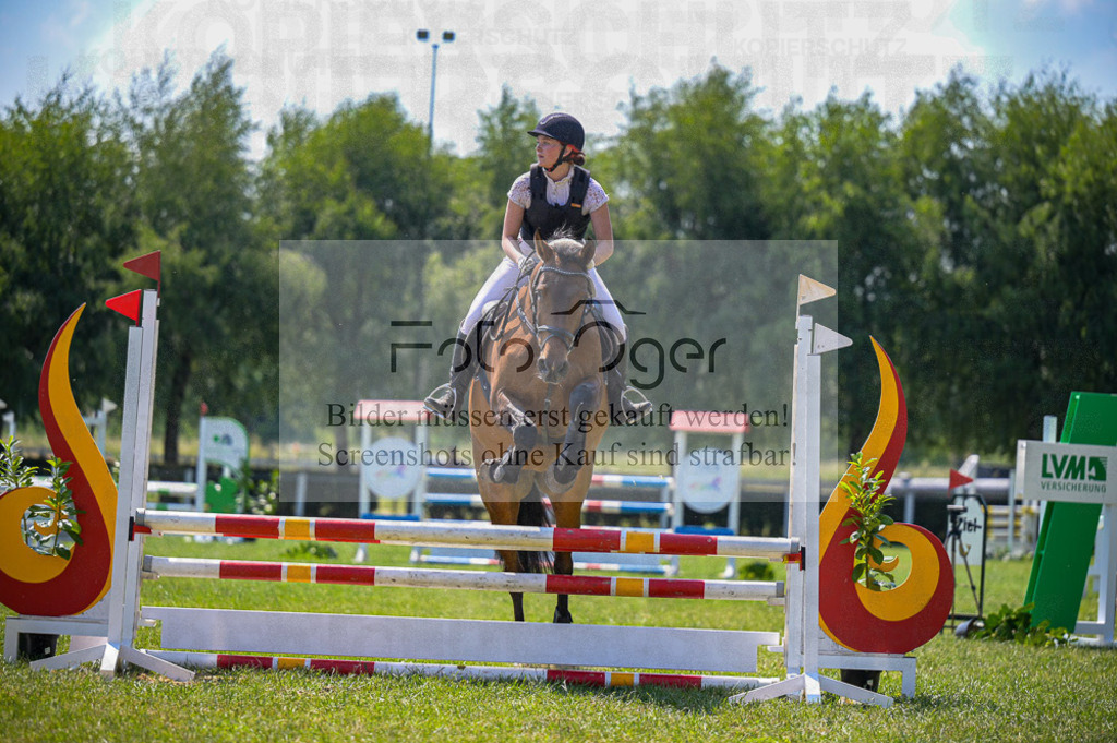 Reitturnier Voxtrup | Entdecke hochwertige Reitturnierfotos von Foto Oger. Professionell, emotional und authentisch – jetzt Lieblingsmomente im Shop bestellen. - Realisiert mit Pictrs.com