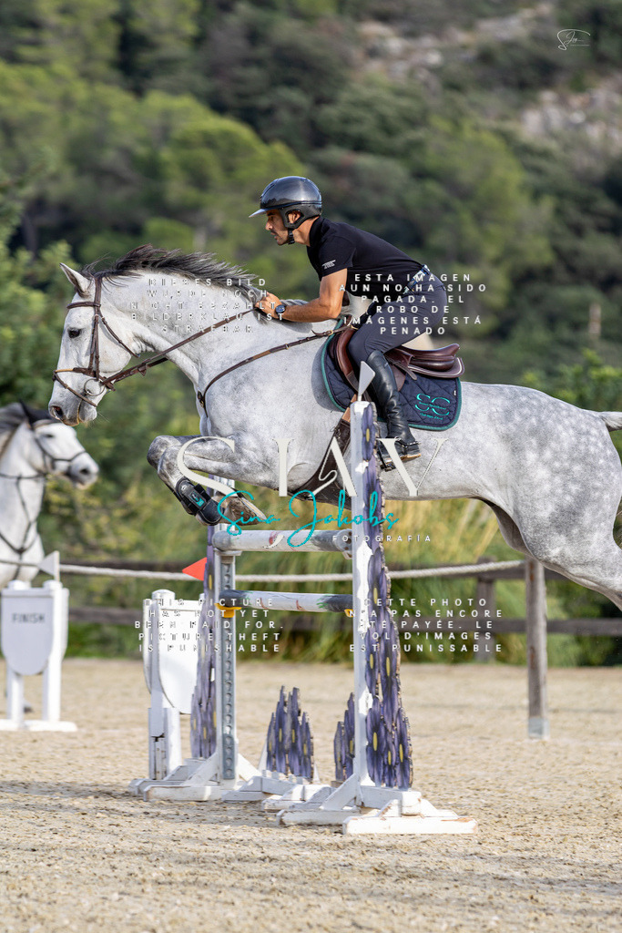 IMG_4829 | s-jay-photography - Realisiert mit Pictrs.com