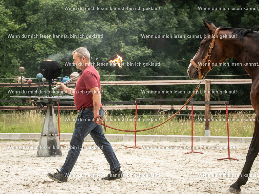 598A7518 | photographylinaismer - Realisiert mit Pictrs.com