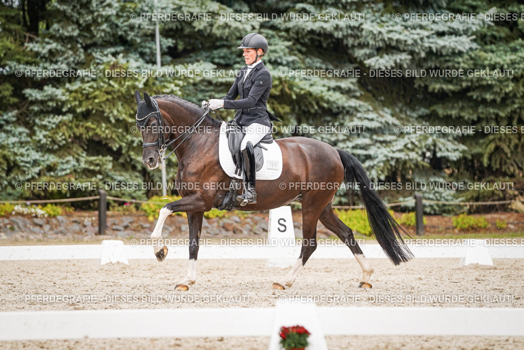 DSC07599 | Pferdegrafie