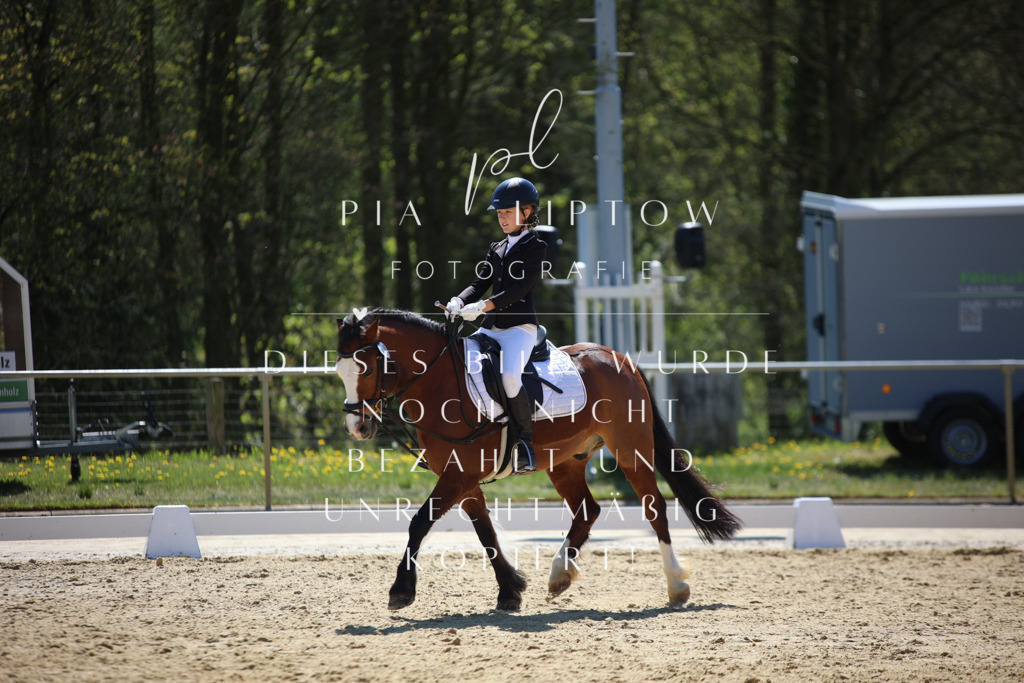 IMGT0479 | pl-fotografie