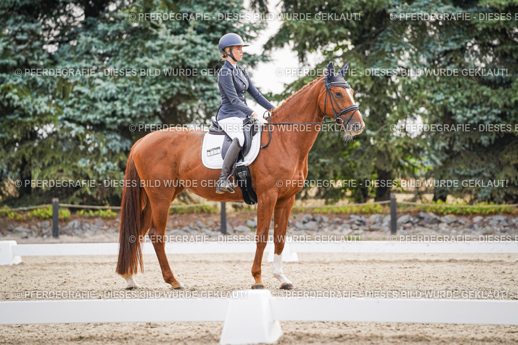 DSC00444 | Pferdegrafie