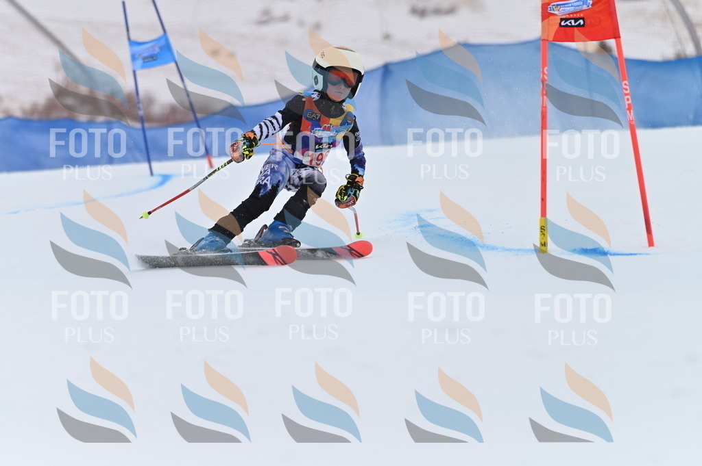 BGV_1726 | holidayphoto