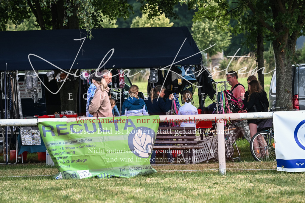 DSC_8591 | Pferde- und Turnierfotografie in Westsachsen. Pferdeportraits, Auftragszeichnungen und intuitive Kunst.