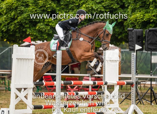 DSC_8964 | Turnierfotoshop Rotfuchs Fotografie