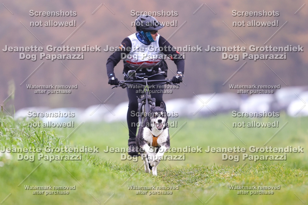 Dog Paparazzi - Visbeck 25 -246 | Dog Paparazzi Jeanette Grottendiek Fotografie & Videografie - Realisiert mit Pictrs.com