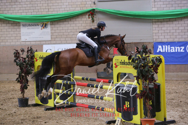 IMG_0647 | Turnierfotos kaufen im Webshop von Daniel Kuhl Photography – entdecke professionelle Reitsportfotos aus Turnieren & Events. Hochwertige Turnierbilder online bestellen & sichern. Jetzt Fotos von Reitsportturnieren kaufen!