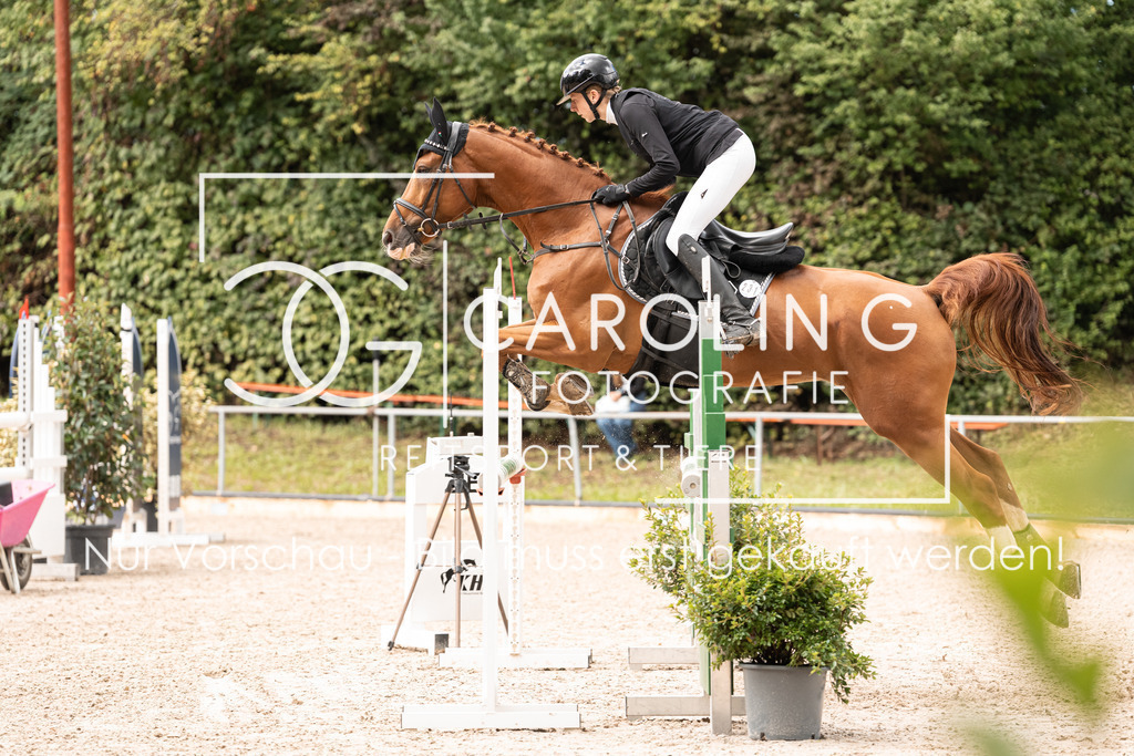 DSC03505 | Carolin Gieschke