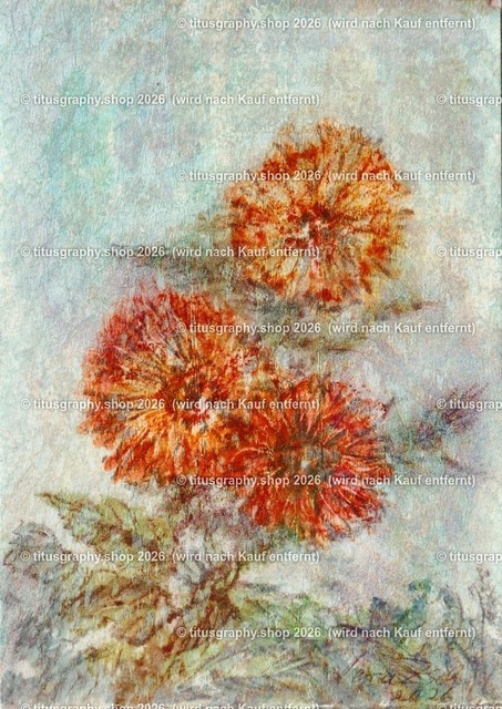 Asterngruß Variation 38 | Zeichnung von Vera Zschecked exclusiv auf titusgraphy.eu - Realisiert mit Pictrs.com