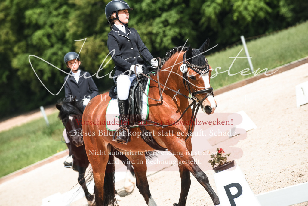 20230518_JK-Röhrsdorf-11-0816 | Pferde- und Turnierfotografie in Westsachsen. Pferdeportraits, Auftragszeichnungen und intuitive Kunst.