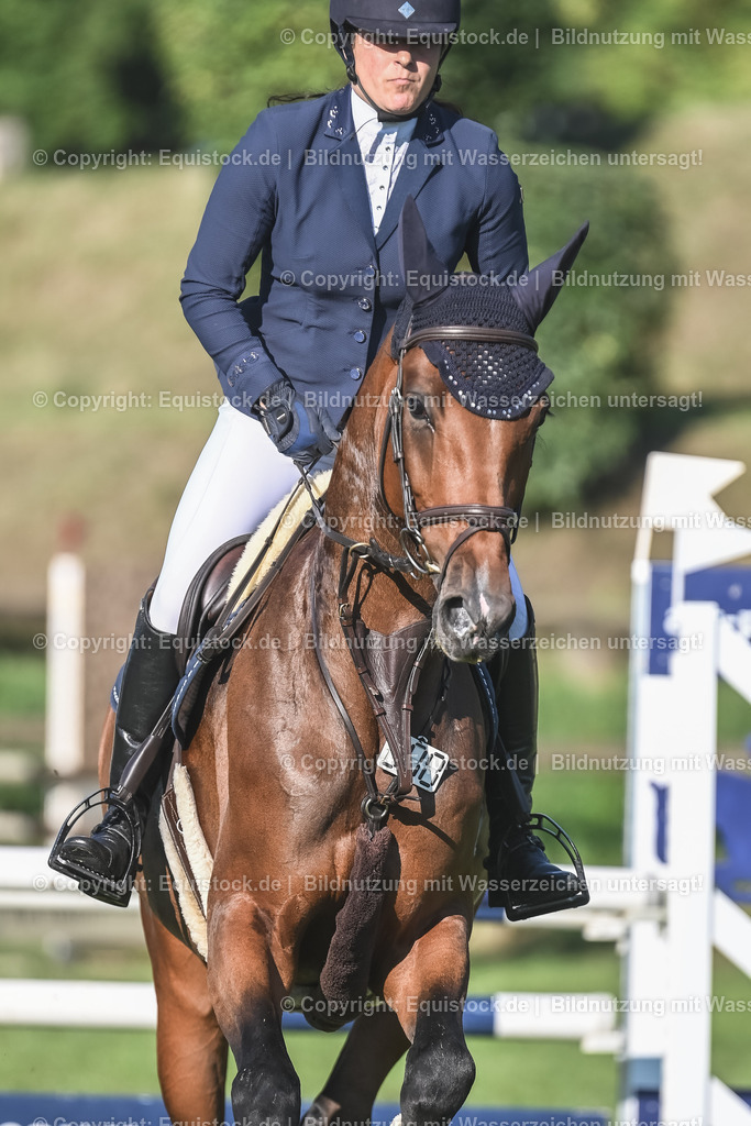 20230908_14-15_Springpferde-A_0066 | equistock