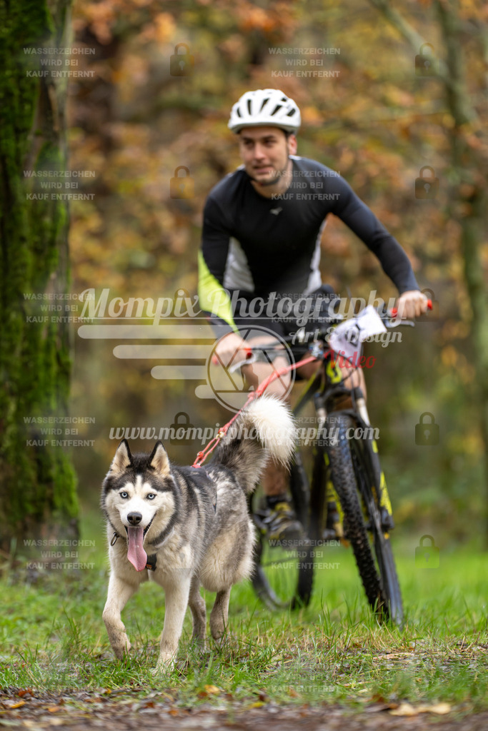 MompixPhotography_Bischwiller23_Bike-44 | PayLife