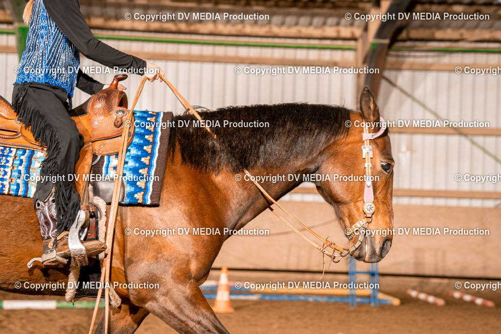 BA400038 | dv-media-shop - Realisiert mit Pictrs.com