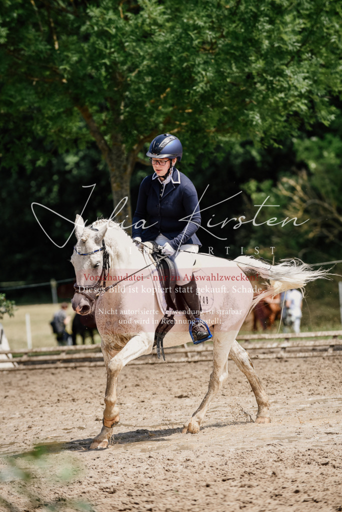 DSC_1829 | Pferde- und Turnierfotografie in Westsachsen. Pferdeportraits, Auftragszeichnungen und intuitive Kunst.