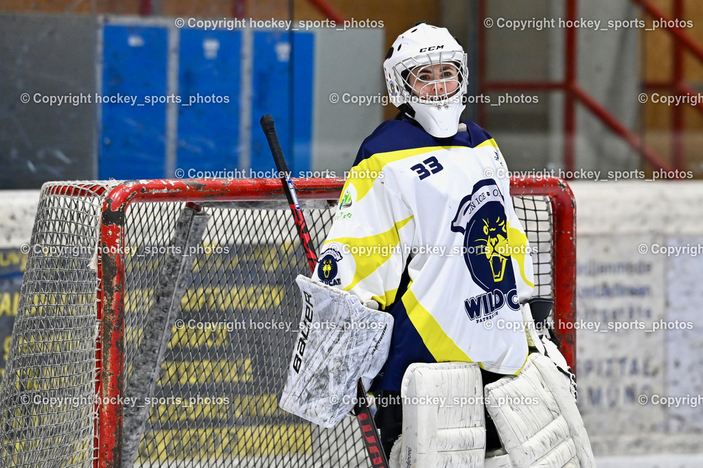 Wildcats Paternion vs. Lady Hawks  | #33 Oberauner Marianne Wildcats Paternion, Wildcats Paternion vs. Lady Hawks , Wildcats Paternion vs. Lady Hawks  am 27.01.2025 in Spittal an der Drau (Eissportzentrum Spittal), Austria, (Photo by Bernd Stefan)