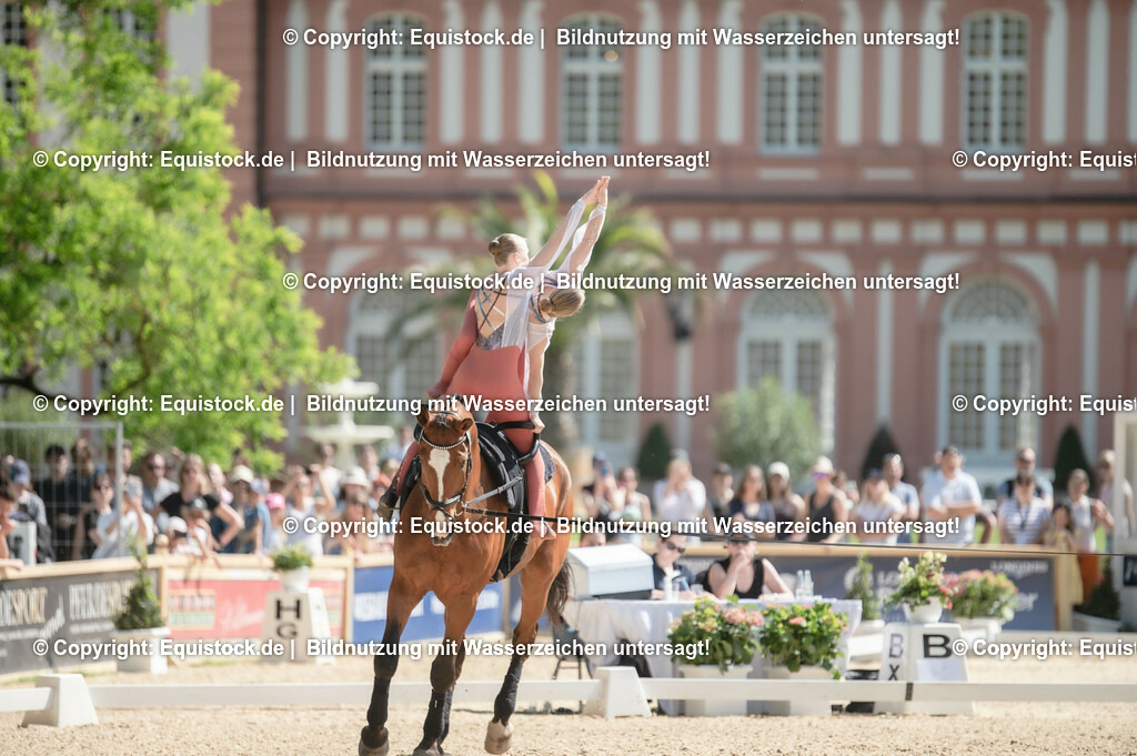 20230528_Voltigieren_NASPA_0383 | equistock