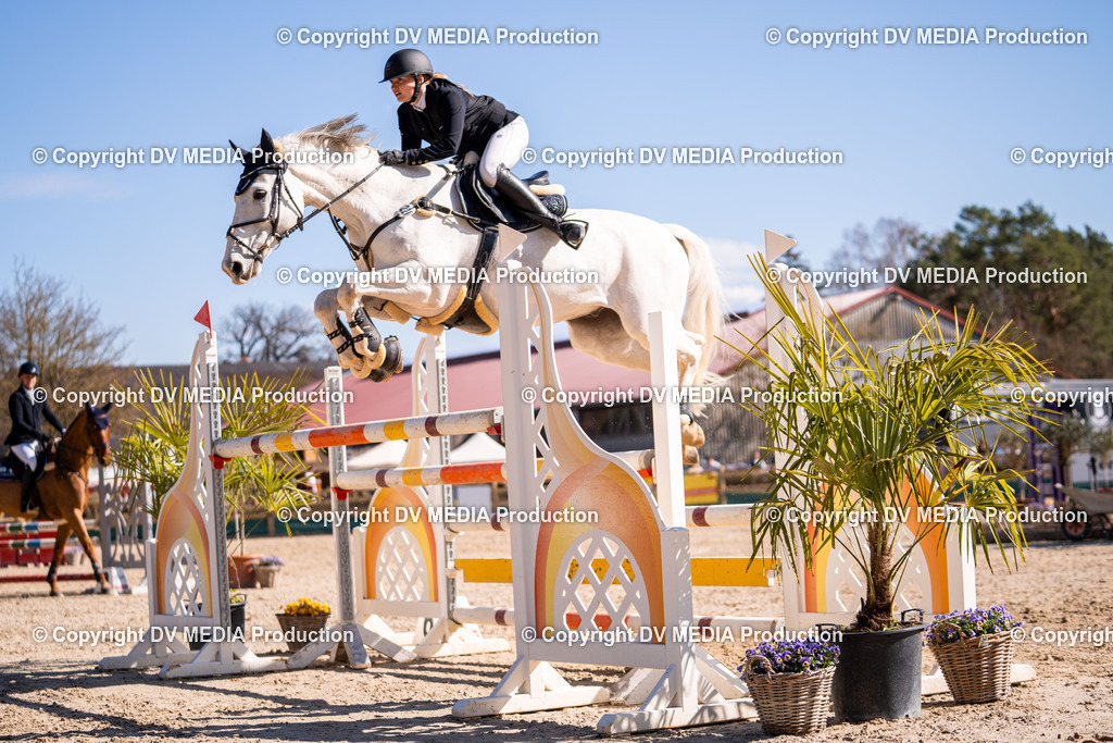 Kranichstein Tag 2-787 | dv-media-shop - Realisiert mit Pictrs.com