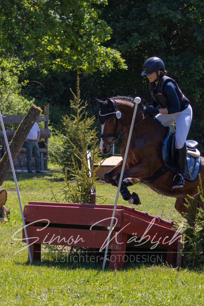 MBFotografie (13) | Tierfotografie Pferde, Hunde, Katzen, Haustiere.
Turnierfotografie Reitturniere, Reiten, Springreiten, Dressur in Hanau, dem Main-Kinzig-Kreis und dem Rhein-Main- Gebiet um Frankfurt