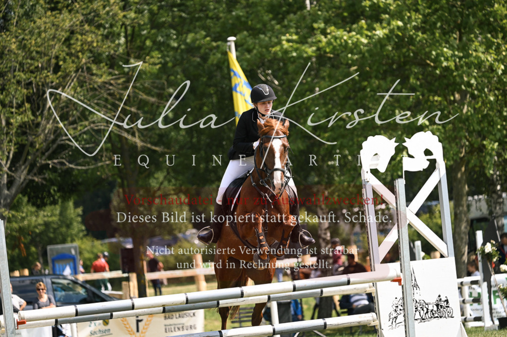 DSC_9044 | Pferde- und Turnierfotografie in Westsachsen. Pferdeportraits, Auftragszeichnungen und intuitive Kunst.