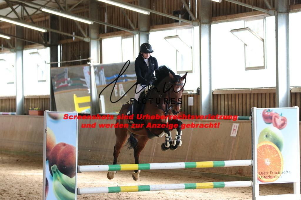 IMG_5584 | lmwpictures - Realisiert mit Pictrs.com