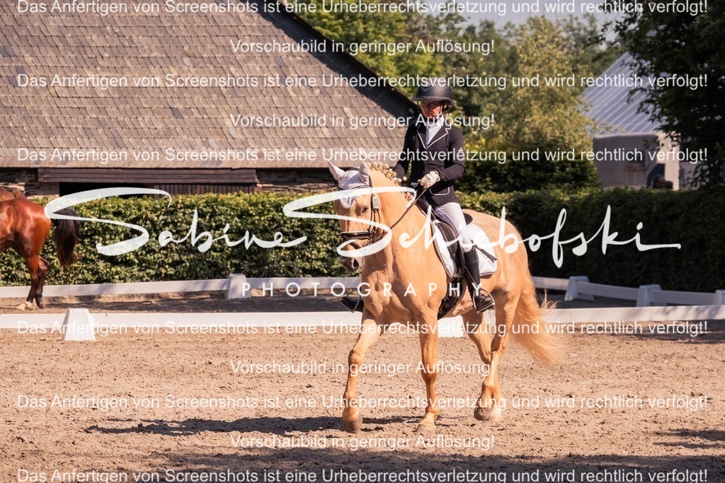 2025_05_31_DSCF3040 | People- und Tierfotografie, Imageaufnahmen, Veranstaltungsfotografie und Wandbilder aus der Natur ★ Made in Germany ✔️ Druck + Downloads ✔️ Naturfotografie in Top Qualität ★ schneller Versand, weltweite Lieferung! - Realisiert mit Pictrs.com