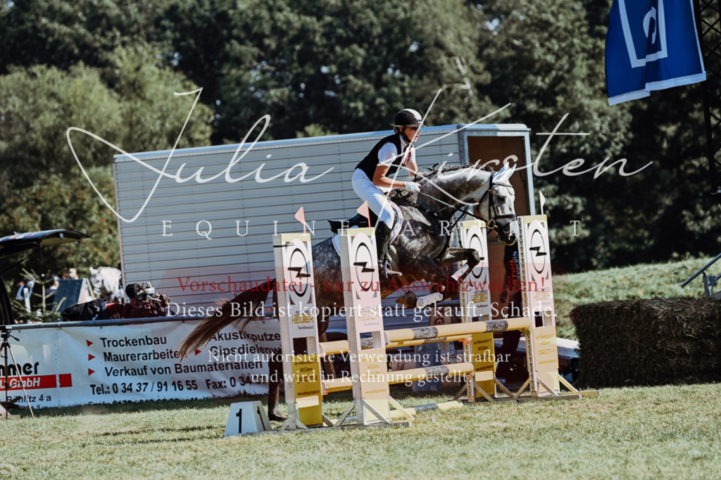 DSC_6560 | Pferde- und Turnierfotografie in Westsachsen. Pferdeportraits, Auftragszeichnungen und intuitive Kunst.