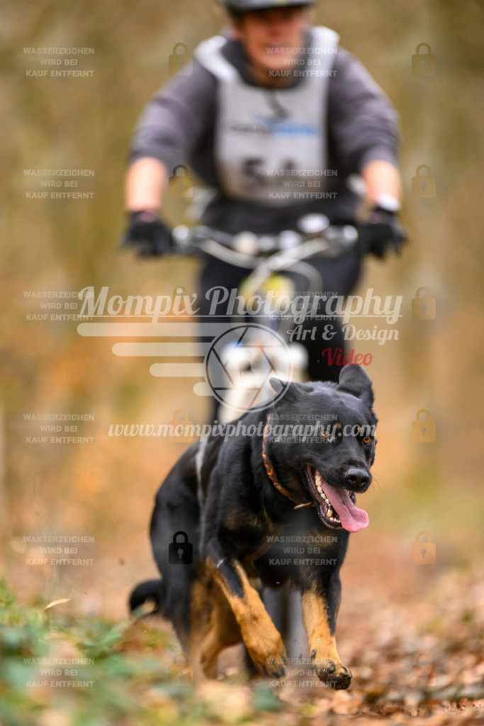 MompixPhotography_ReiatRennen2024_SO_Bike1H-86 | PayLife