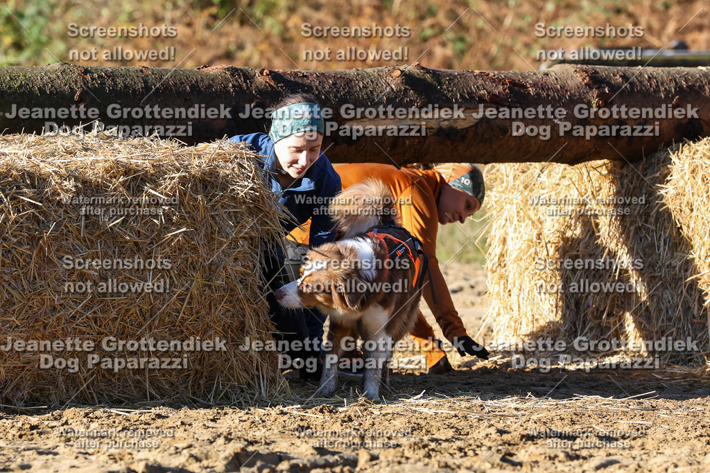 Dog Paparazzi - Strongdog 10-25-1633 | Dog Paparazzi Jeanette Grottendiek Fotografie & Videografie - Realisiert mit Pictrs.com