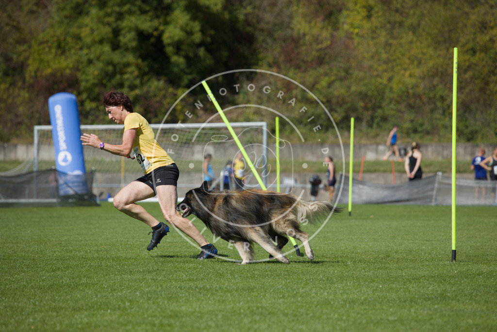 0L8A6478 | Hundefotografie, Tierfotograf, Pfotenfotografie, Fotoshooting Hund, Hunde Portrait, Hundesport, Hundeportraits, Heideshooting, Hunde, Sportfotograf, Hundefotograf, Turnierhundsport, THS,  - Realisiert mit Pictrs.com