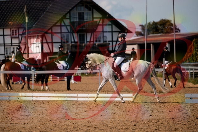 2026_10_03_Siefer-Hof_122703_Z63_47957051 | Professionelle Reitsport-, Turnier- und Eventfotografie von Robert Broda. Galerien mit ausgewählten und bearbeiteten Bildern direkt online ansehen und bestellen.