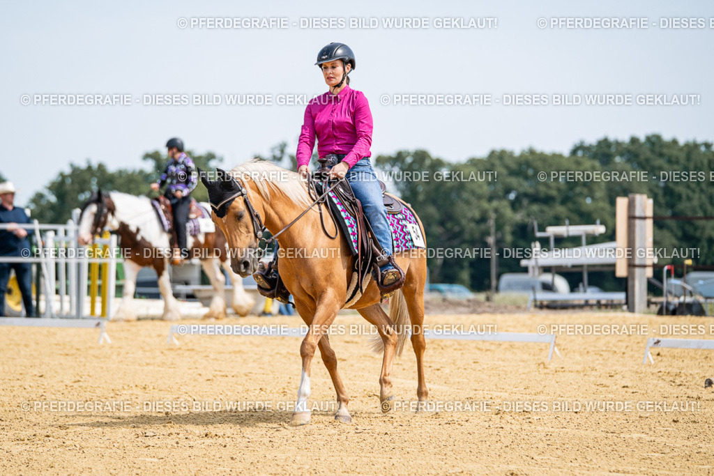 DSC00308 | Pferdegrafie