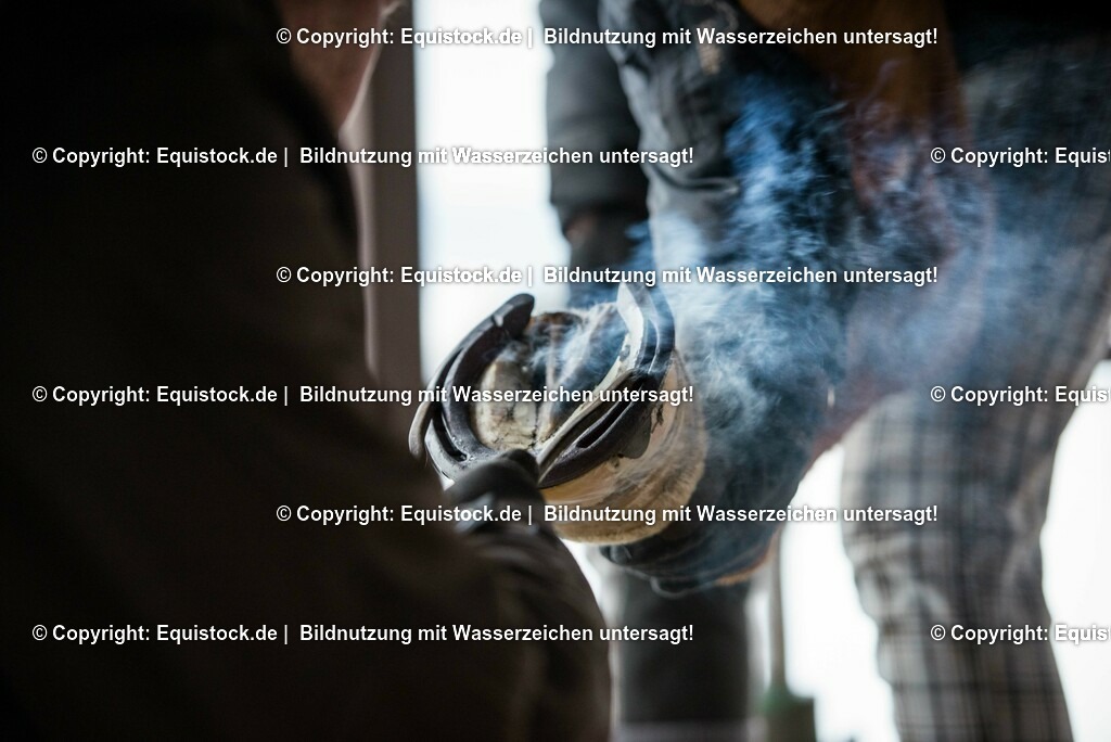 20150206_Hufschmied_0004 | equistock