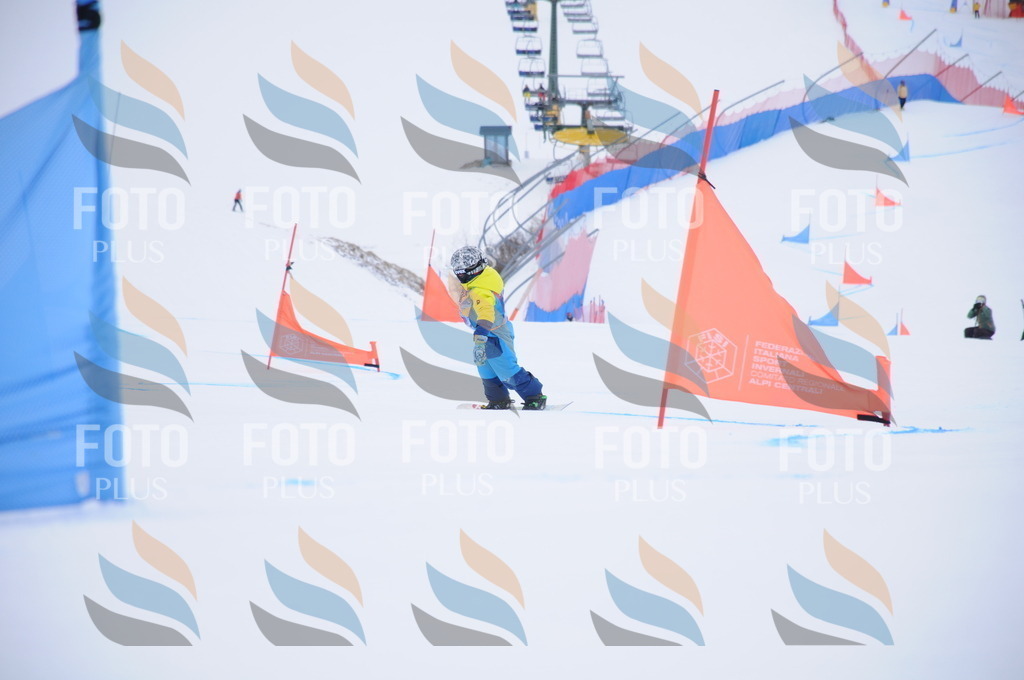 DSC_0155 | holidayphoto