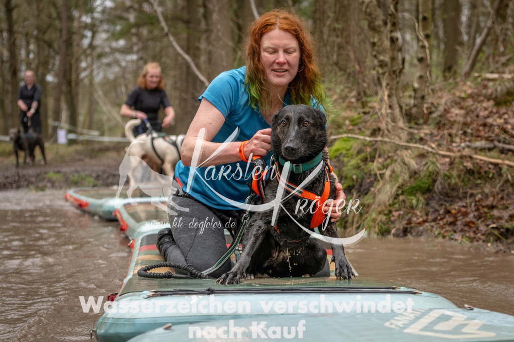 1137_ZZ93750 | kk-dogfotos