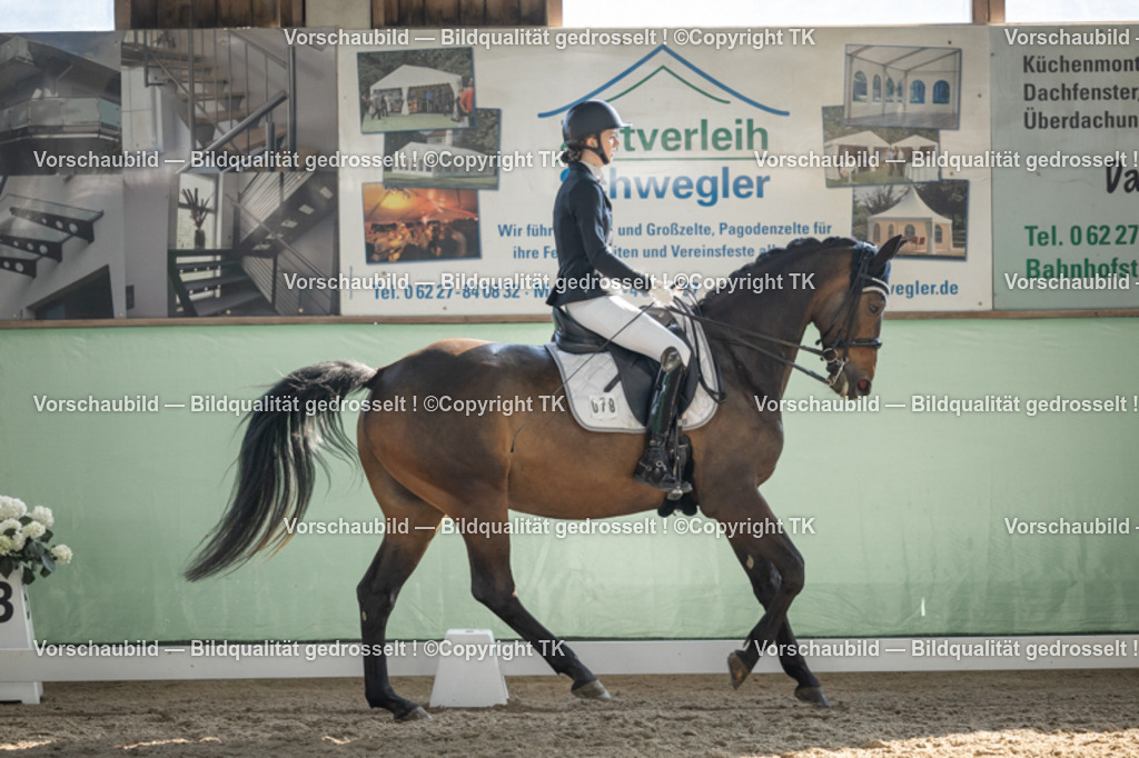 _D5A2943 | Emotionale Pferde- & People-Fotografie rund um Heidelberg, Leimen & Umgebung. Natürliche Fotos von Pferd, Mensch & Familie. Jetzt Termin sichern!