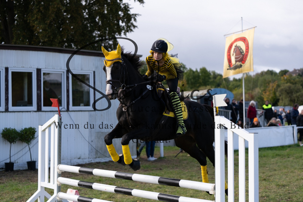 A7V06520 | Pferdefotograf