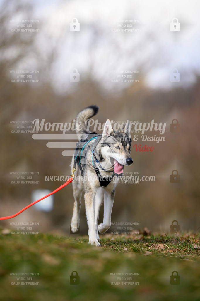 MompixPhotography_10Schwabentrail2026_SO_Scooter-180 | PayLife