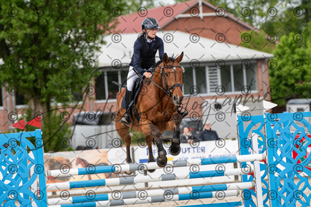 KPT_9900 | andre_photographic