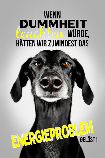 Luke hat 'ne Idee | "Wenn Dummheit leuchten würde, hätten wir zumindest das Energieproblem gelöst!"