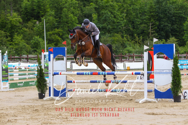 DKP41780 | Turniersportfotografie; Pferdefotografie; Dressurfotografie