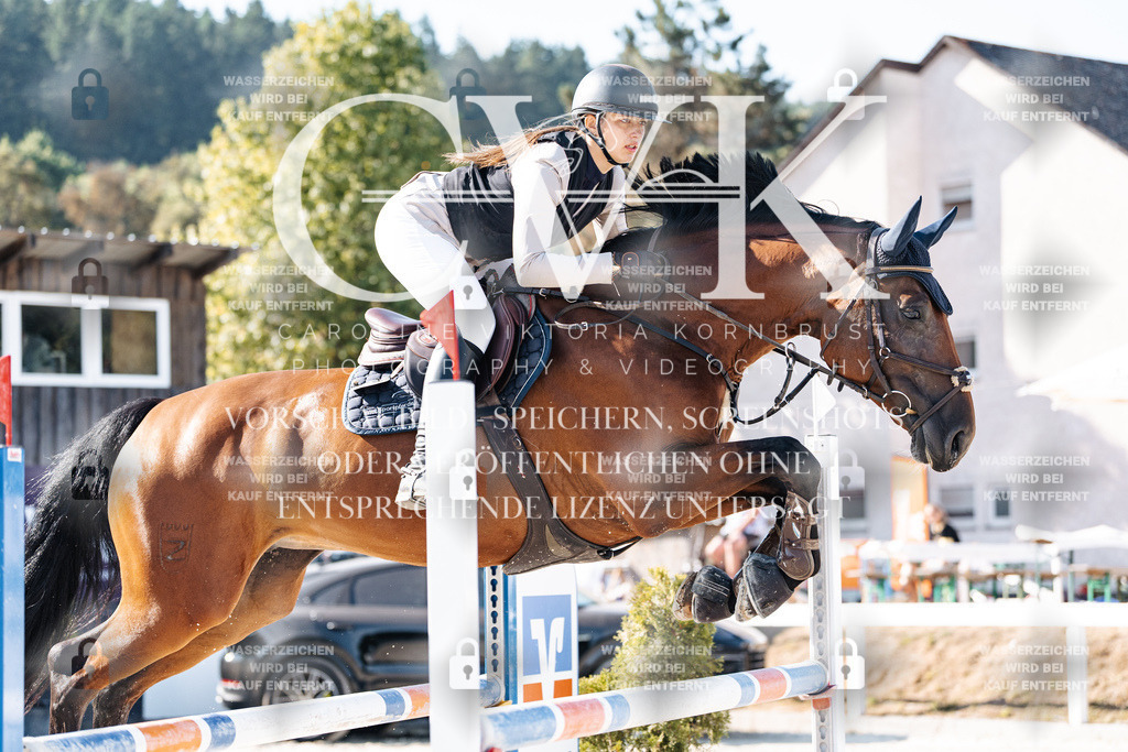 CK904550 | Turnierfotografie Pferdefotografie Trier Rheinland-Pfalz Pferdesport Reitsport Tierfotografie Sportfotografie Pferdevideo Pferdevideografie Equestrianvideography equestrianphotography  - Realisiert mit Pictrs.com
