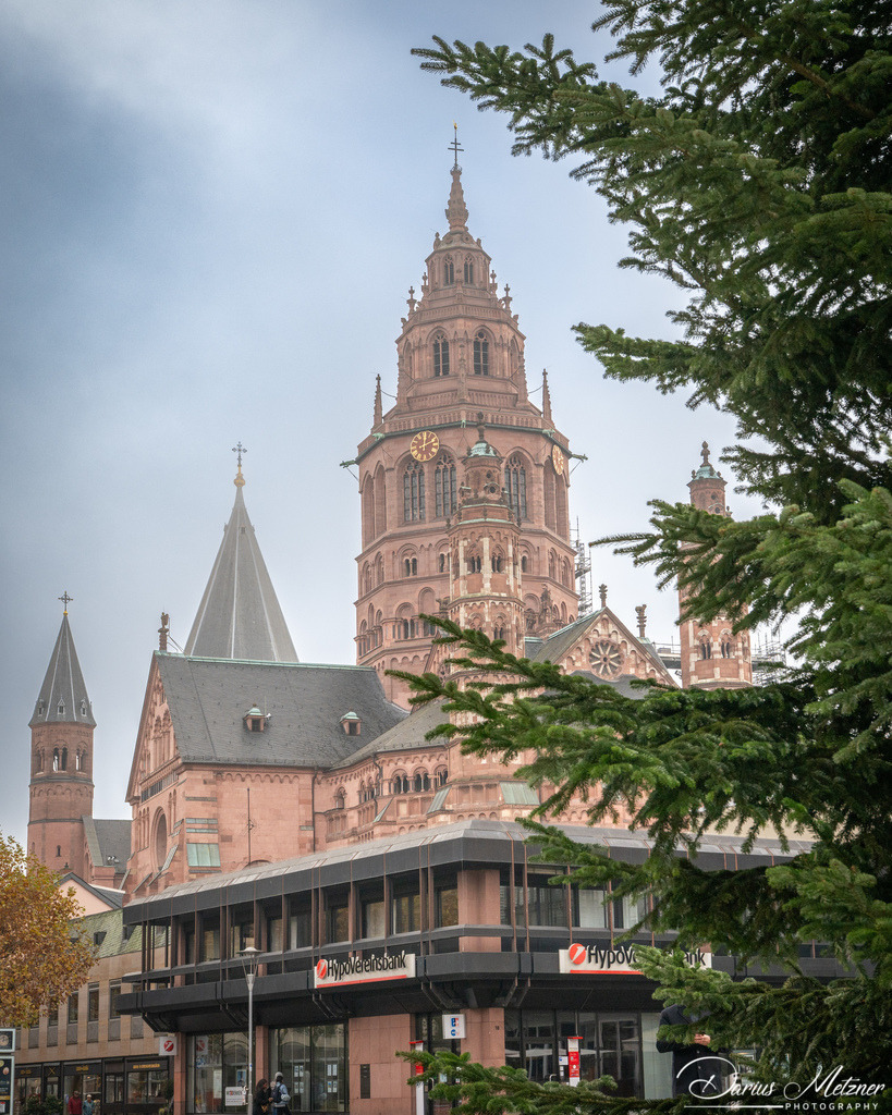DSC_4246 2 | Fotografien, Fotos und Bilder aus Mainz, Frankfurt, Wiesbaden und anderen Orten auf der Welt - Fotografiert von Darius Metzner
